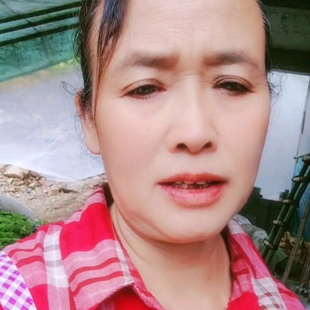 二姐。人心看不透（苏）