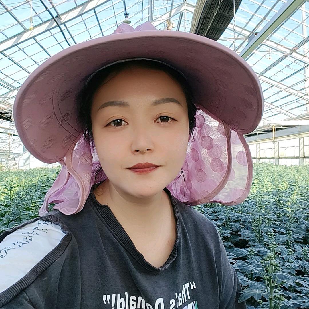 陕西芳芳在日本(种菊花）