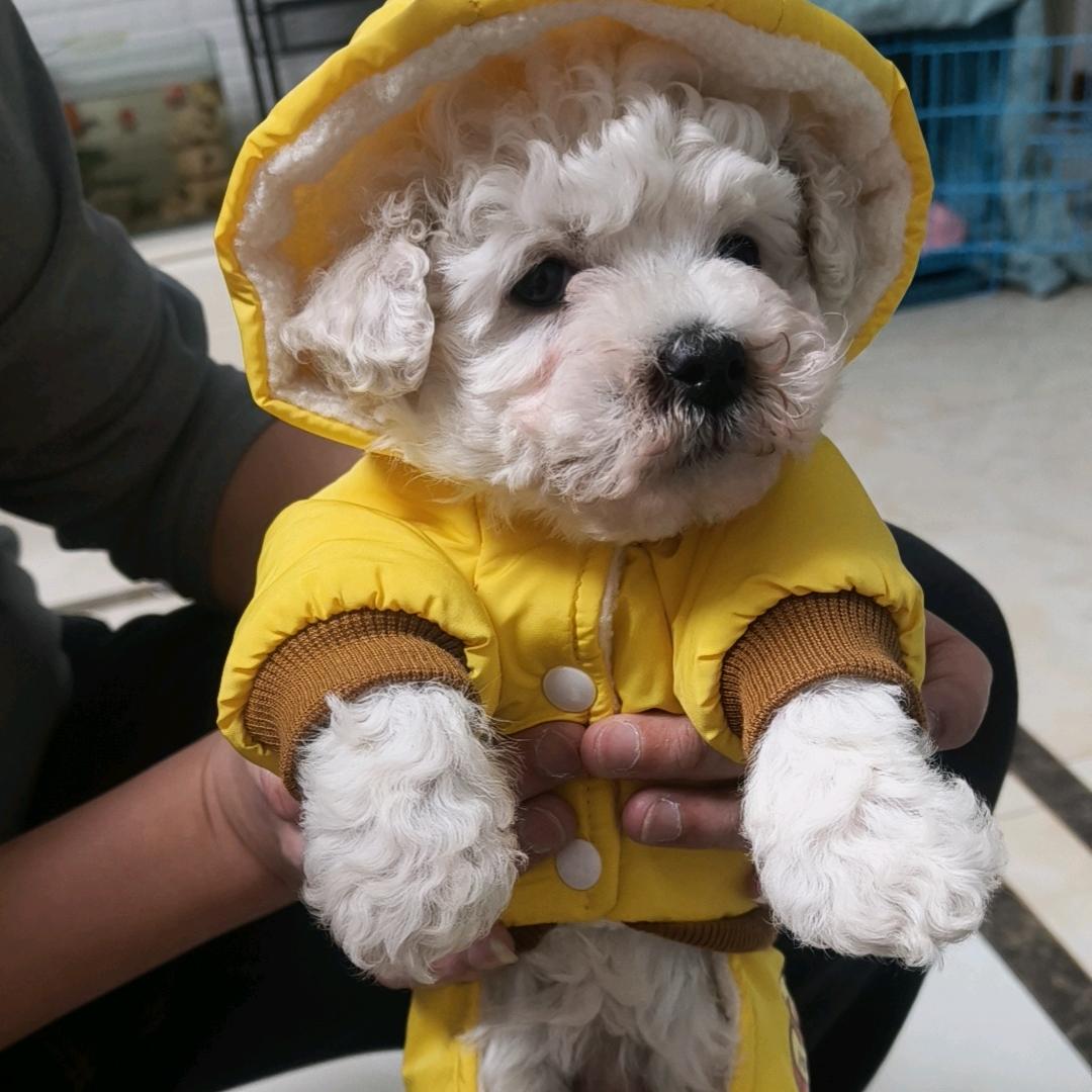 朱纳福要嘻嘻😁