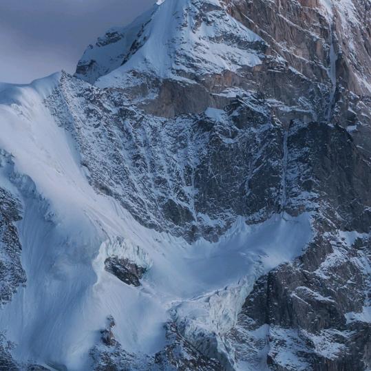 梦动岳阳昆太里龙毛直播号