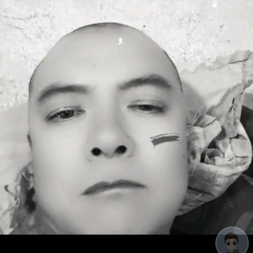 虫子🐛（曾经）🐘