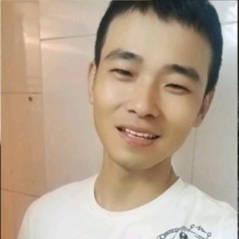 湖北小蚊子