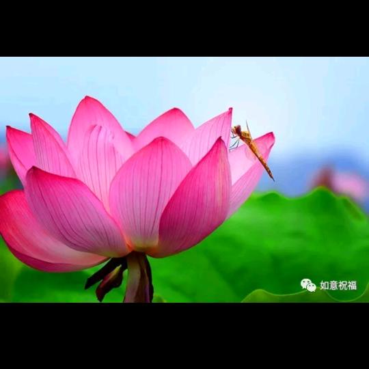 幸福一家👨‍👩‍👦‍👦