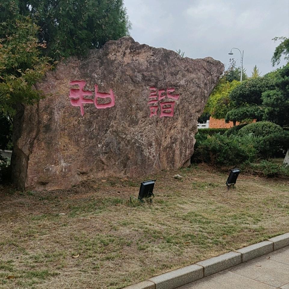 🐲八方来财 🐲