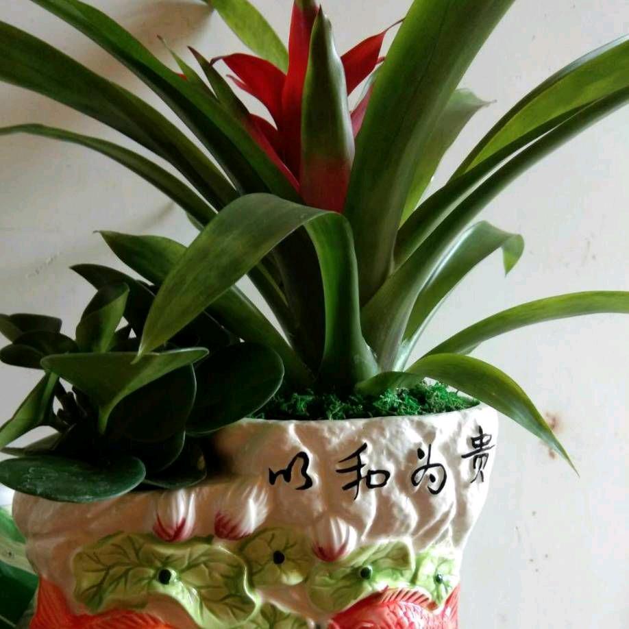 说不完的心酸