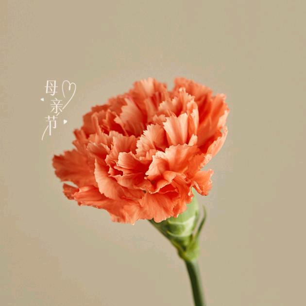 王姐