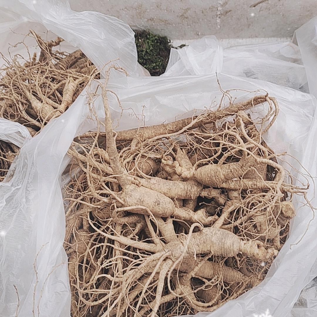 莱州卖东北林下参