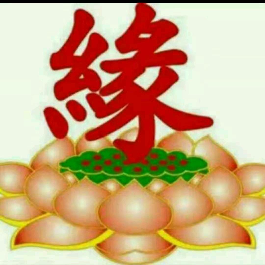 🔥️神算一帆风顺
