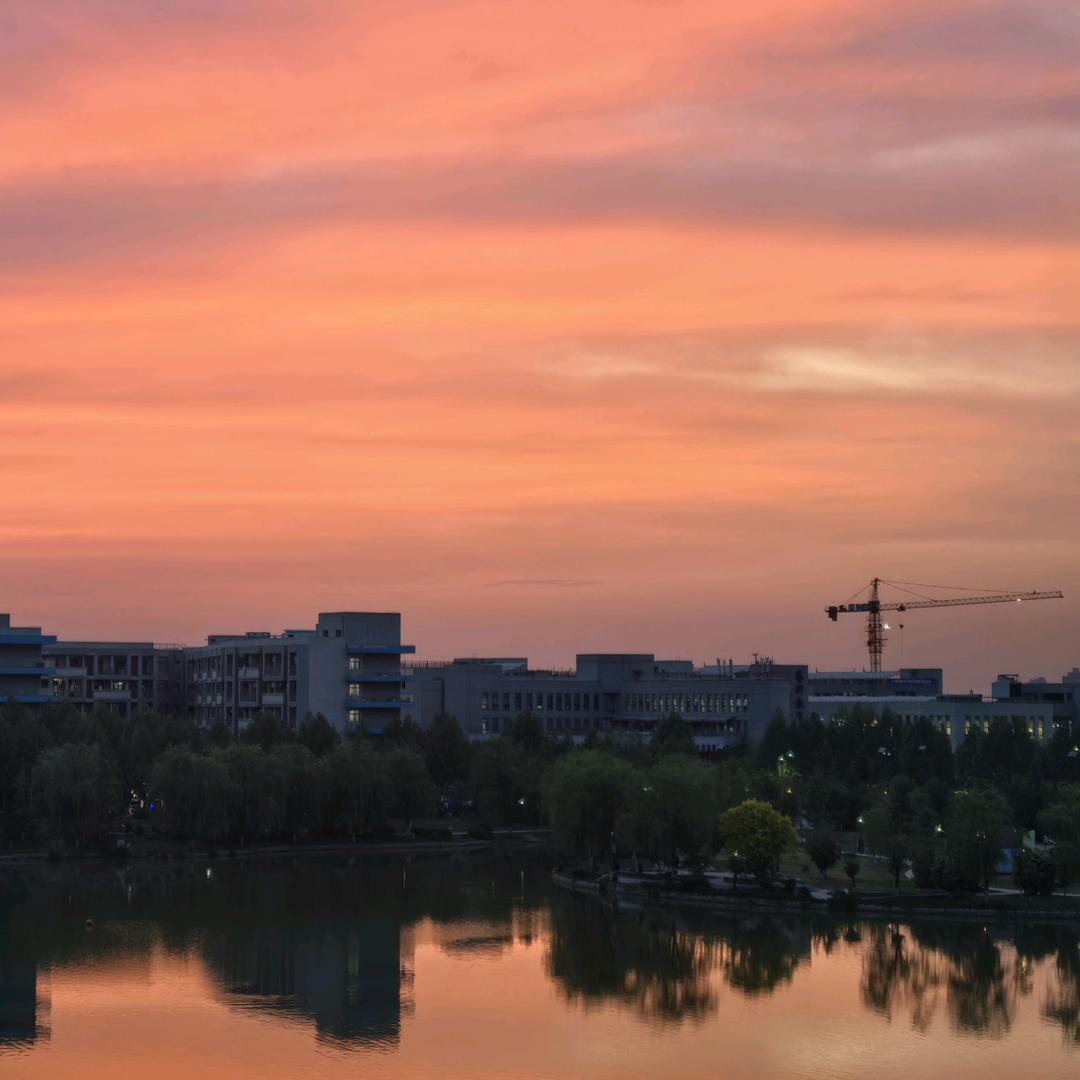 未来的四本女老师