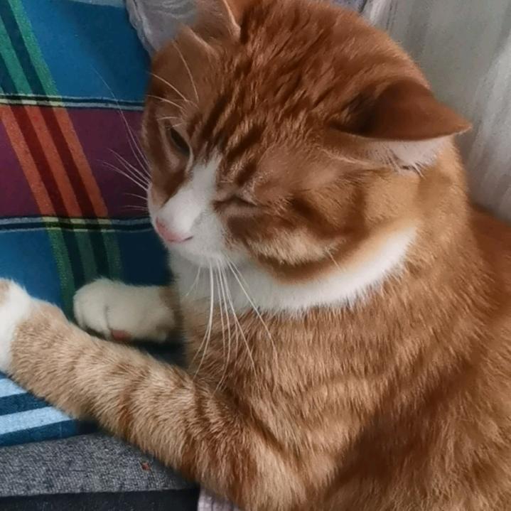 🌈永远