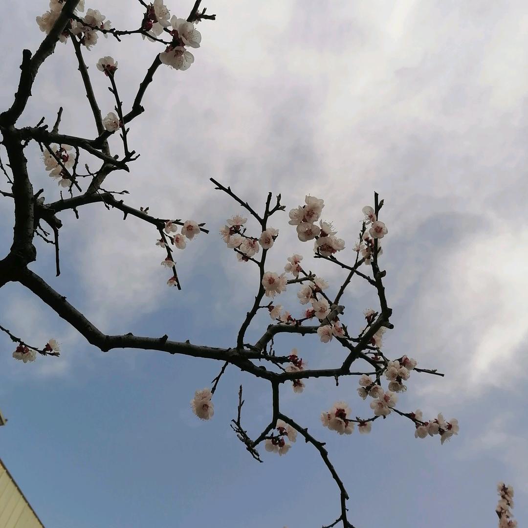 &余生爱自己