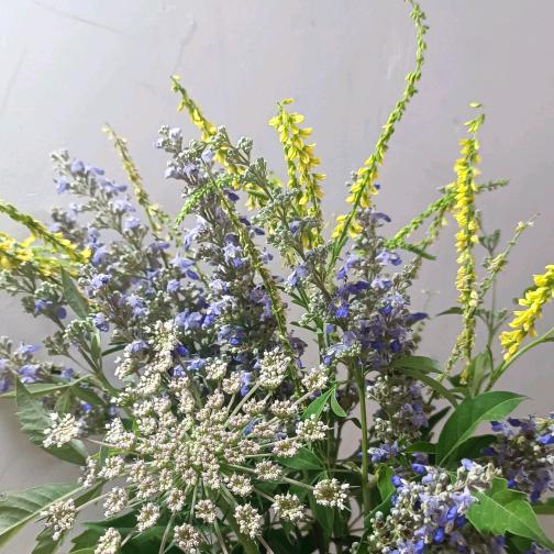 ღ᭄ꦿ꯭好运🌸加满ঞৣঁ