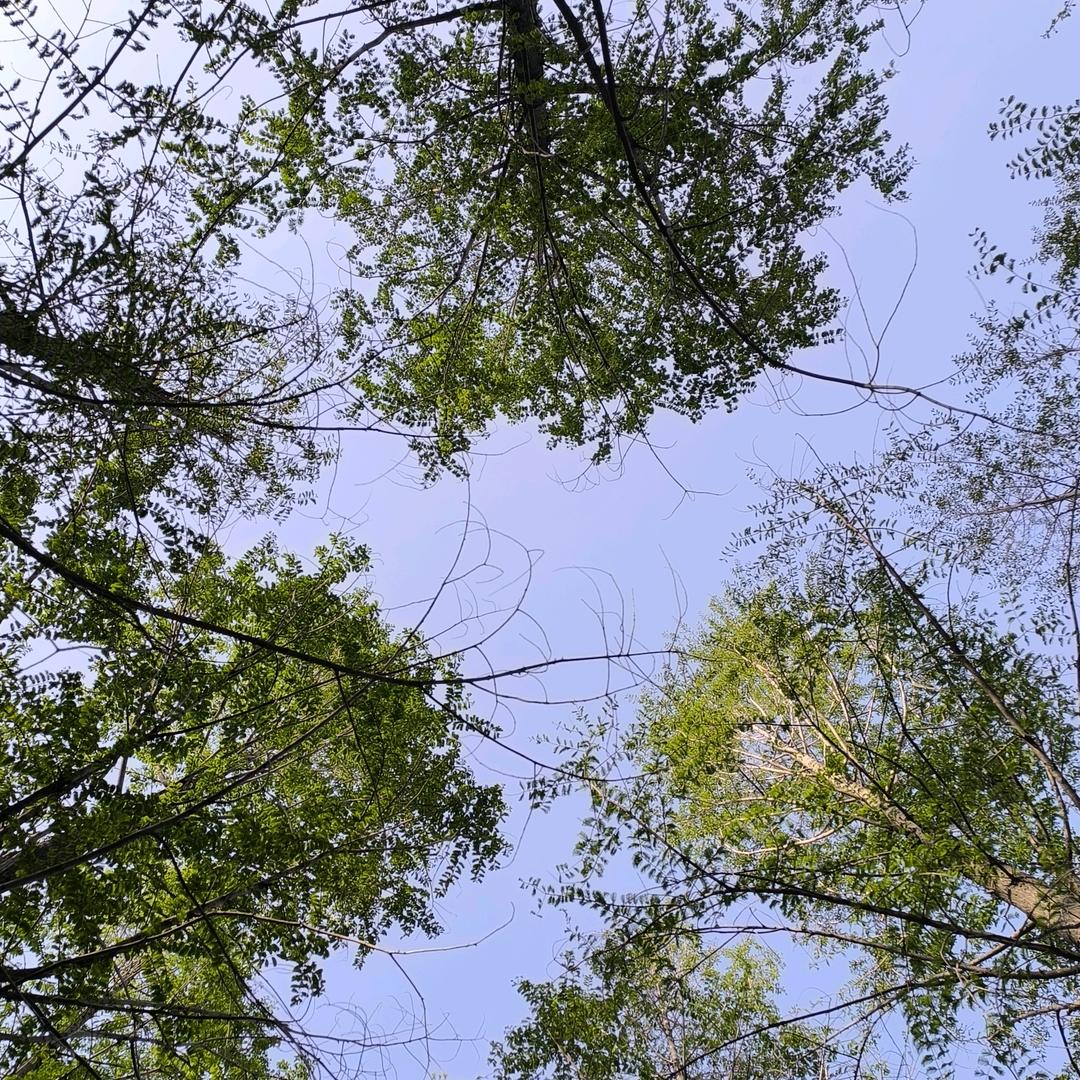 瞎忙