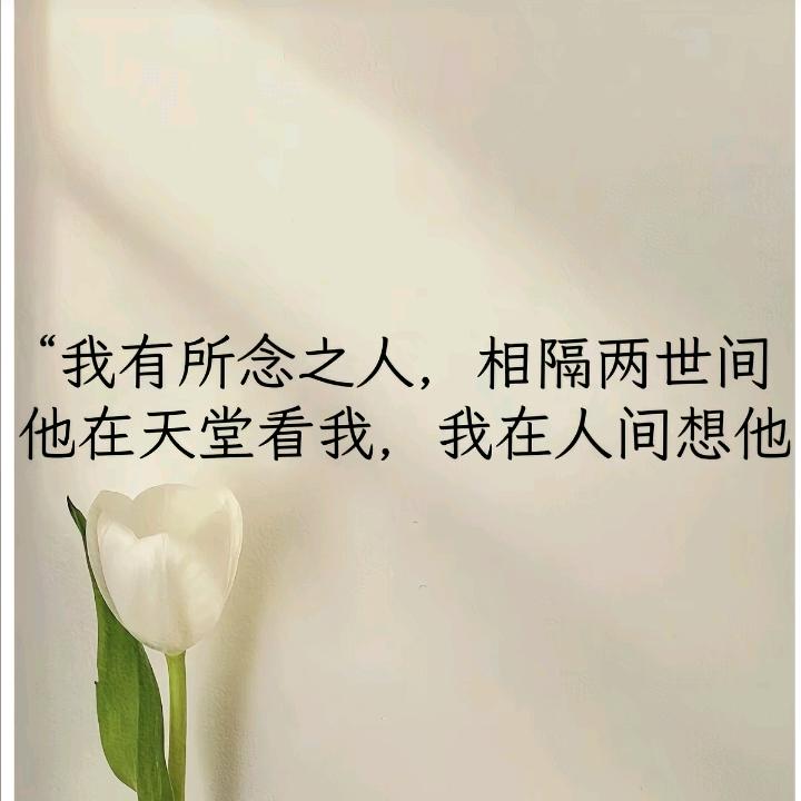 永恒的思念（拒绝私聊)