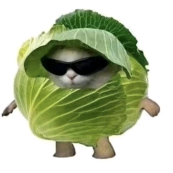 佳森