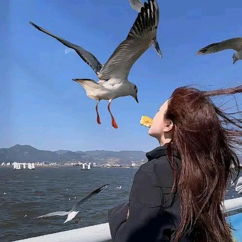 浩琪