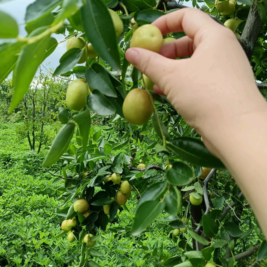 好好爱自己🎎一身不悔！！！😍😍🥰