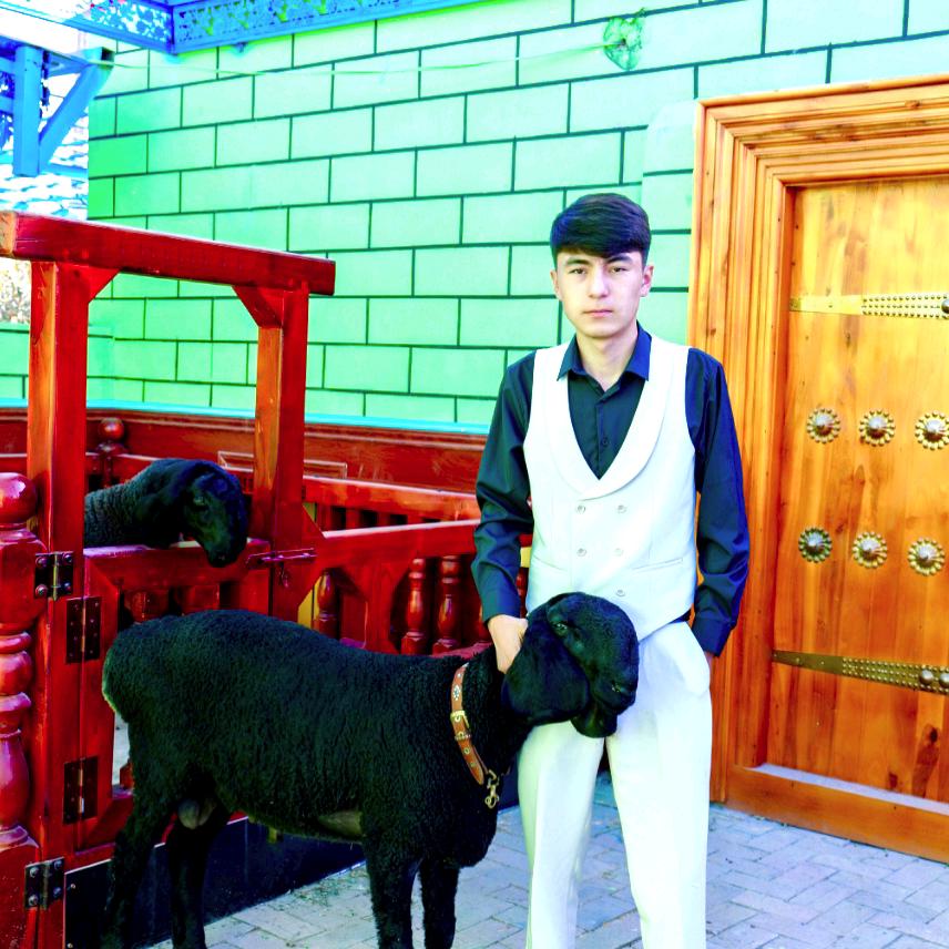 马力克-刀郎羊🌑