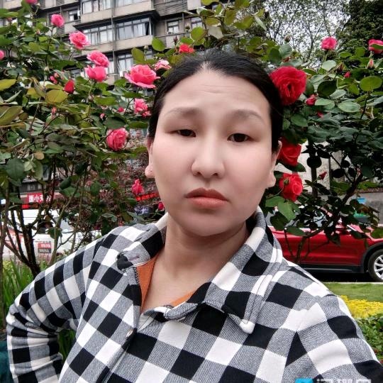 伊🌹