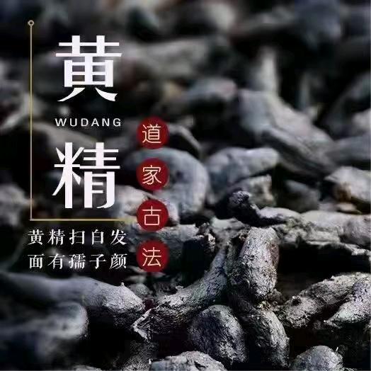 九华黄精