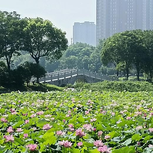 🌈浪漫女人🌾