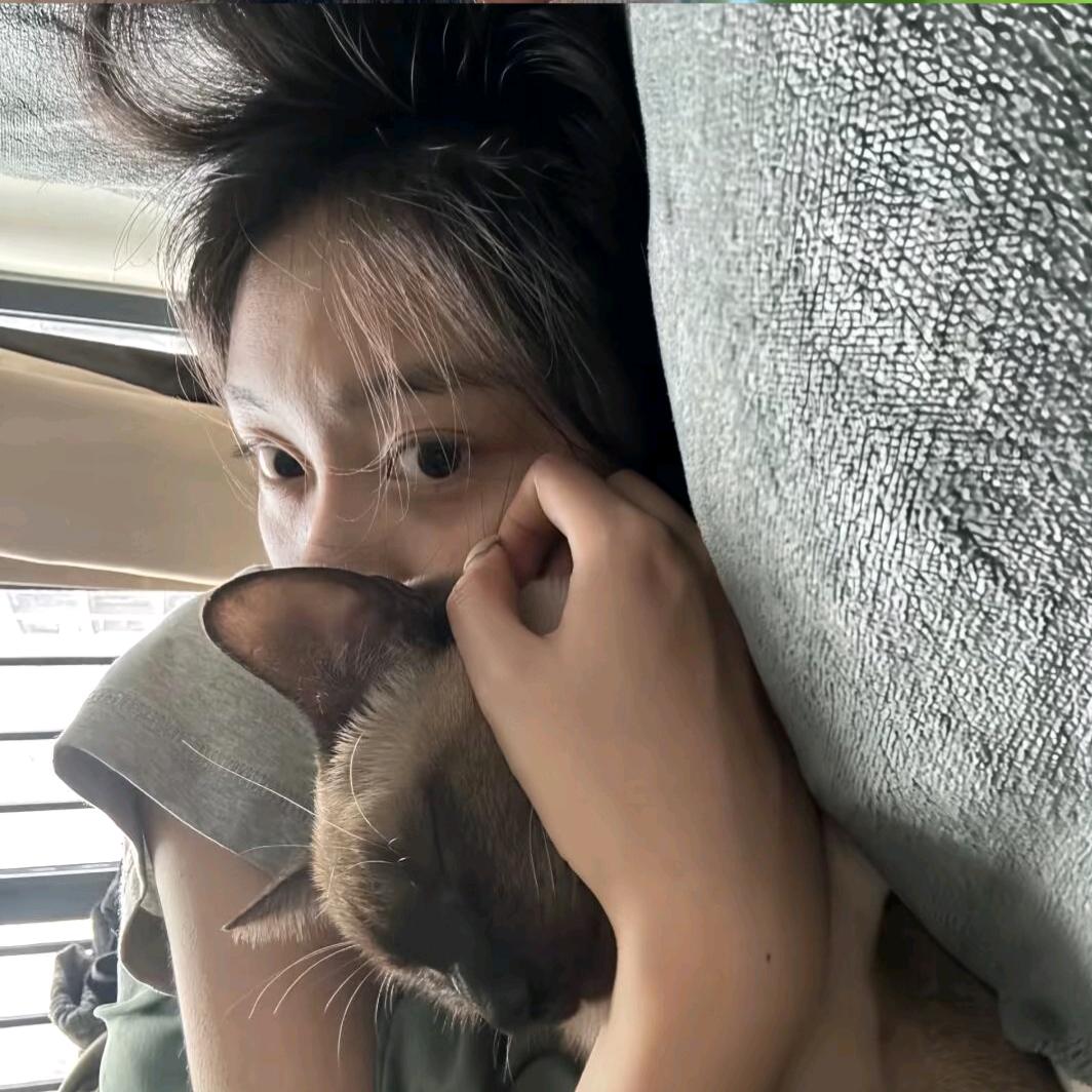 懒.