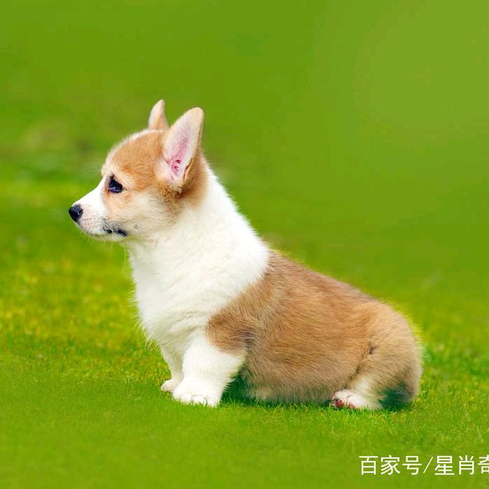 目之所及皆是你🎗 ⁶¹