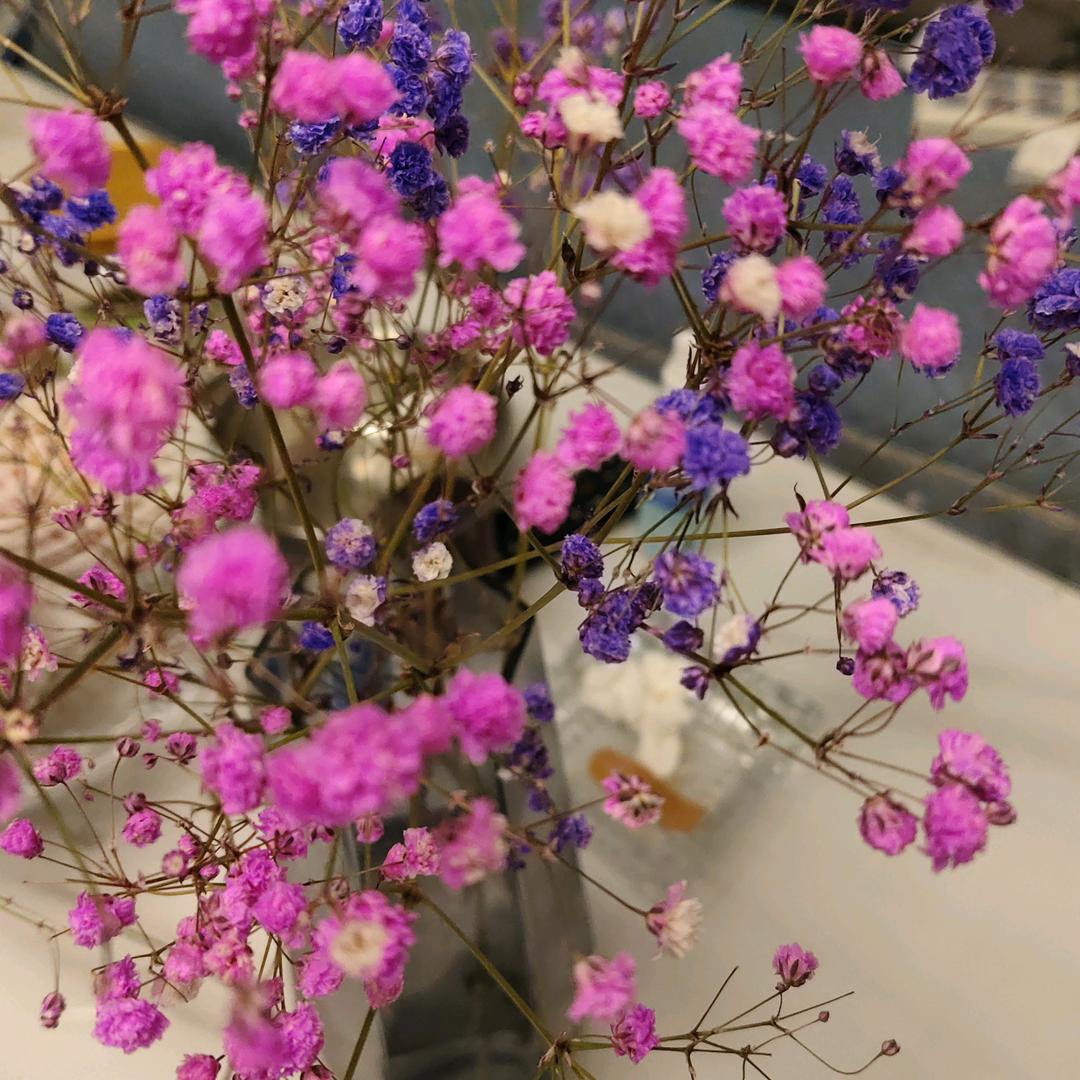 花一样的人生