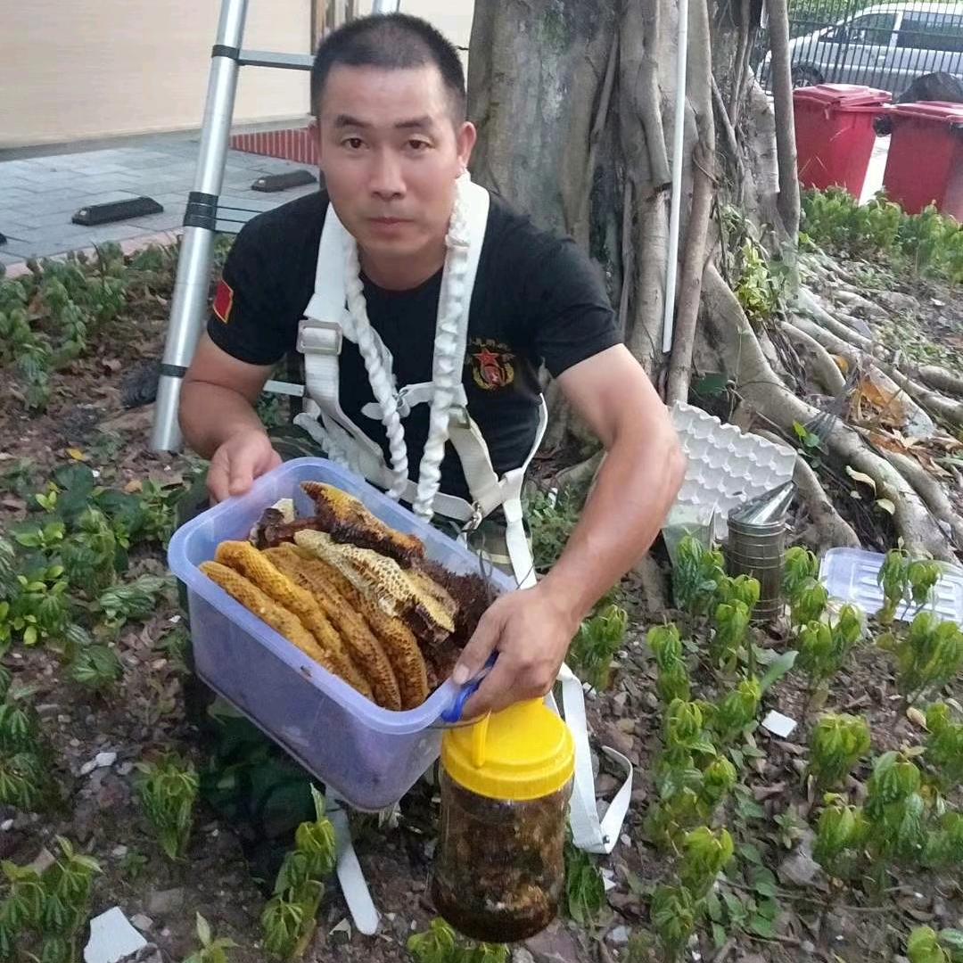 覃蜂王
