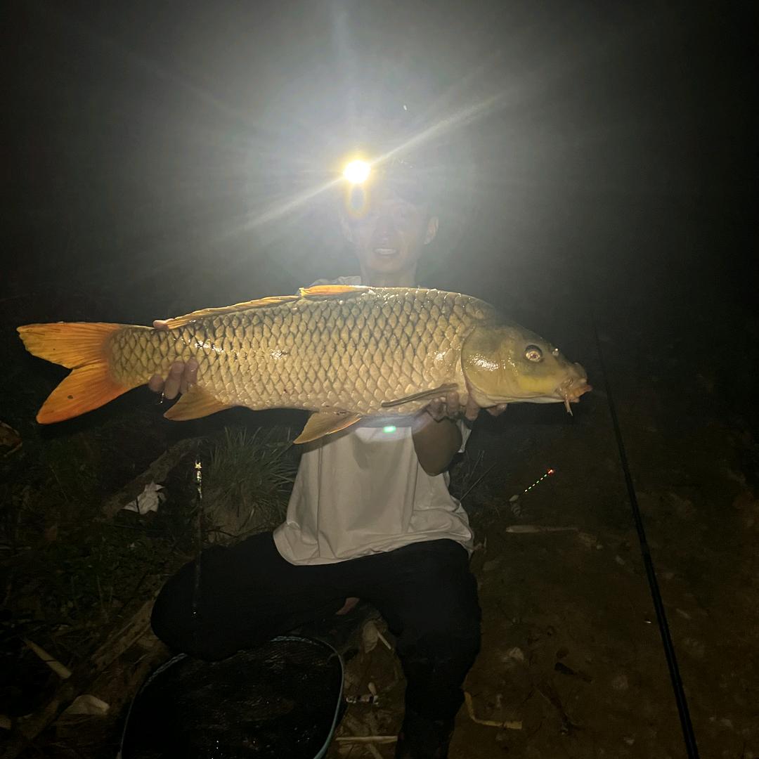 大鱼正口🐟