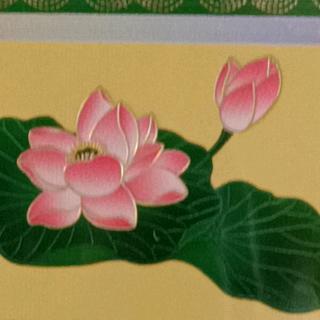 瓜哥小店（助理）