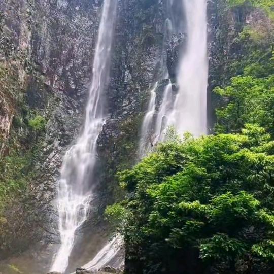 宝宝贝