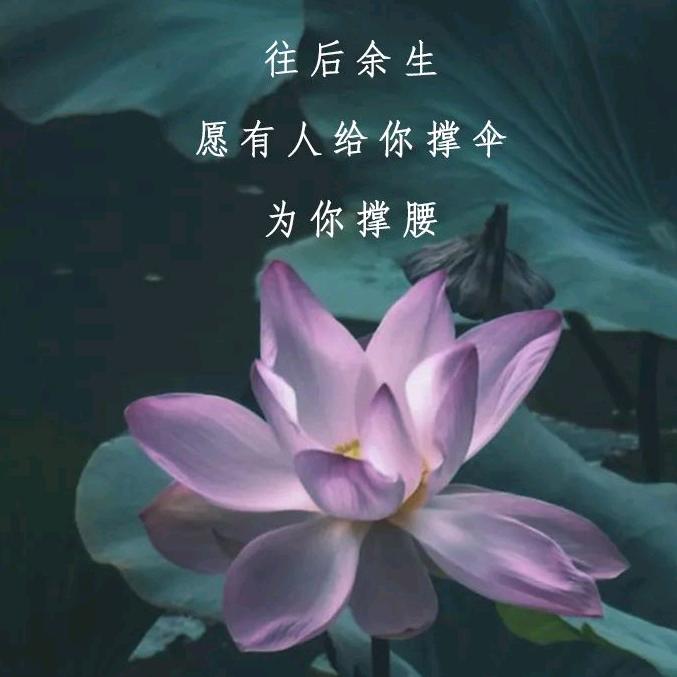 ᵕ̈ 番茄炒蛋ོᐝ