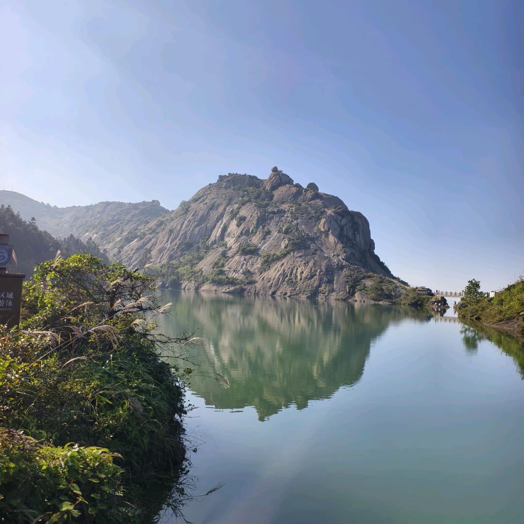 杨双