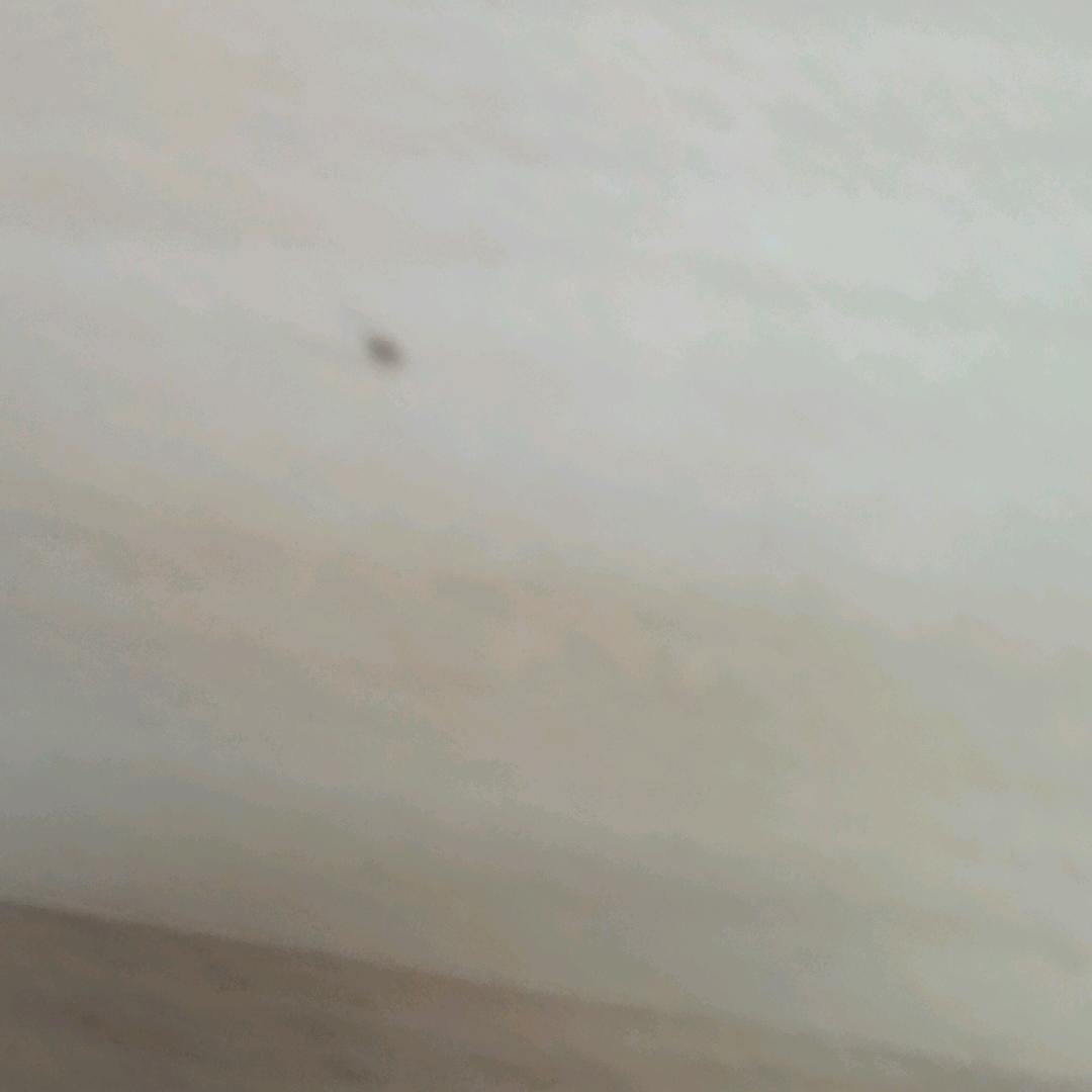 加急发货中……