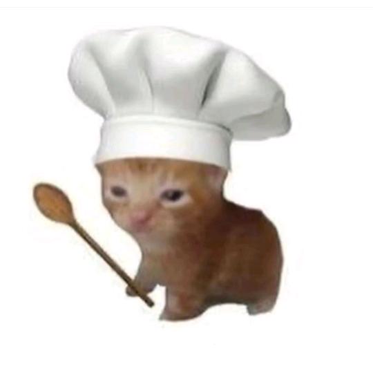 只会带饭的金金