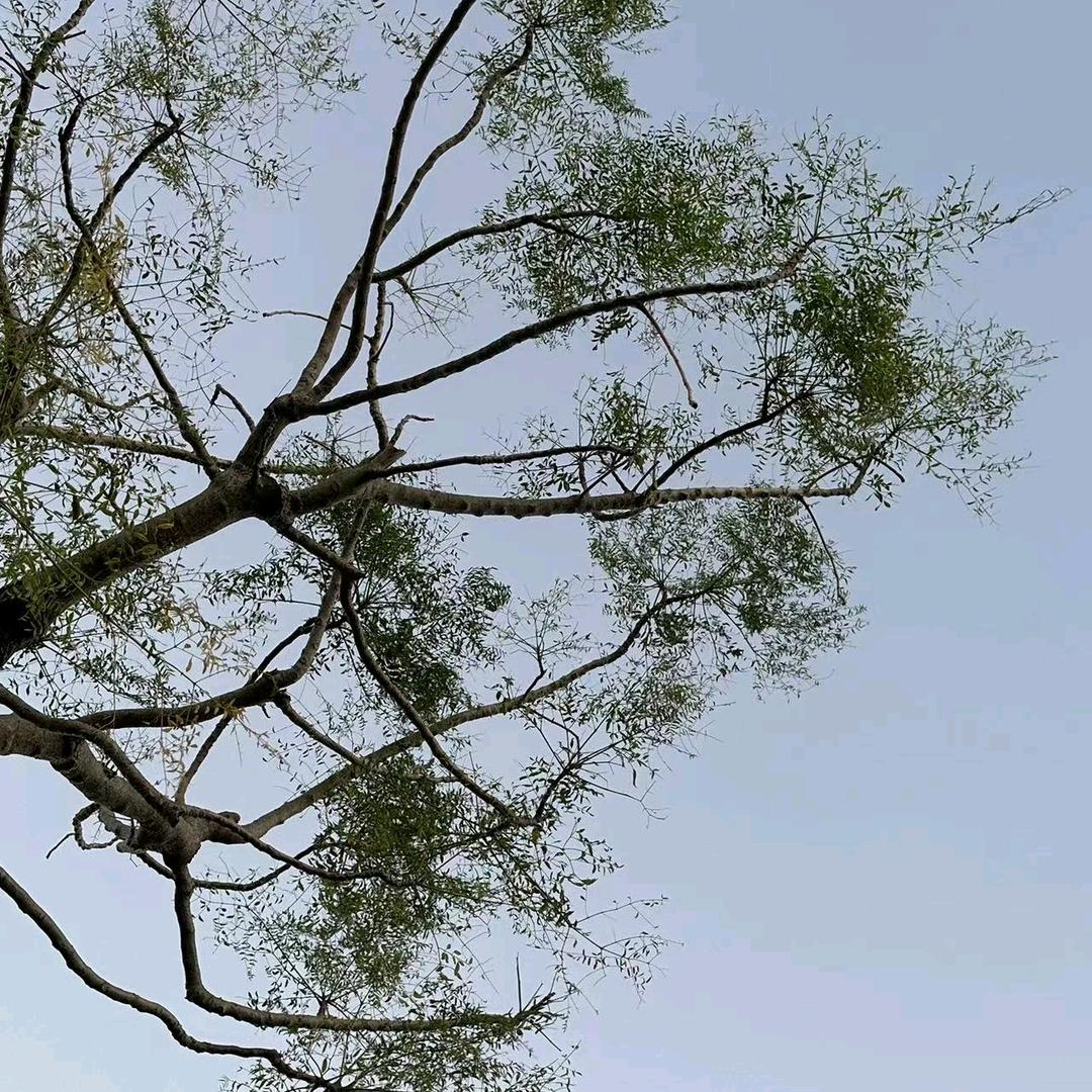 厦门SPA优惠