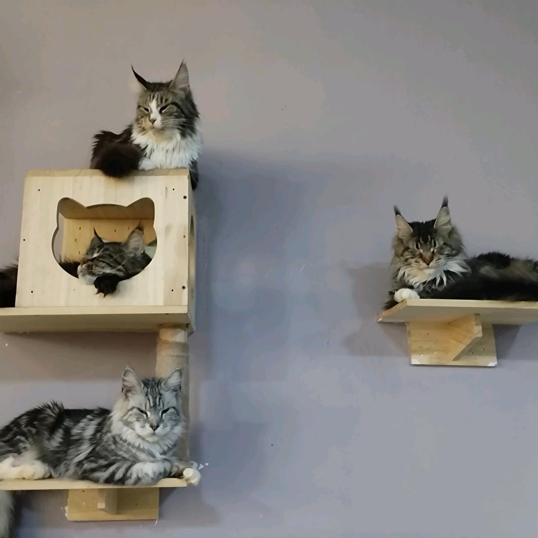 听说过神鬼传奇吗