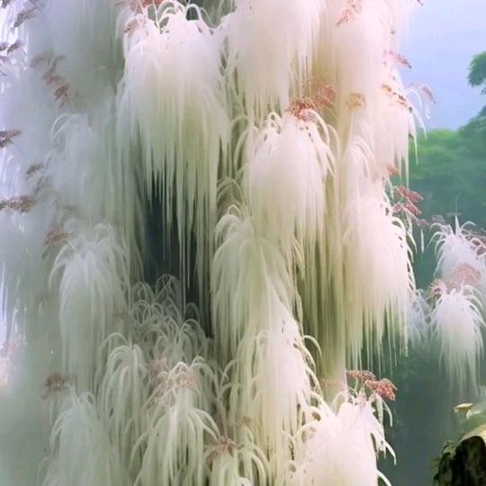 恩，霖