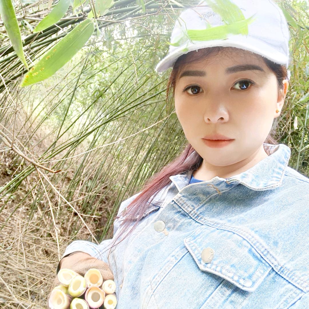 小朱(橱窗好物)