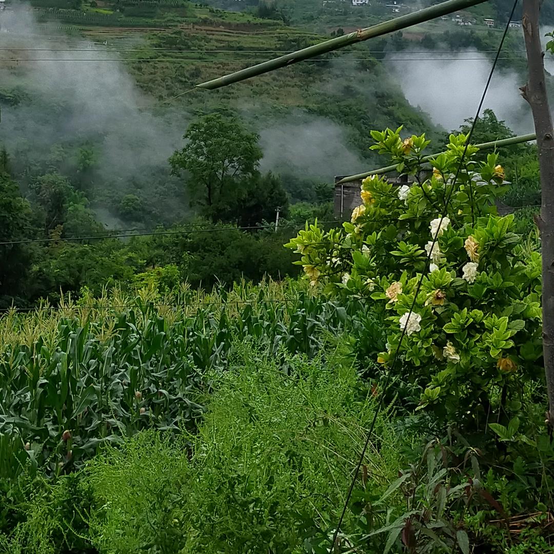 捌零后滴小老头