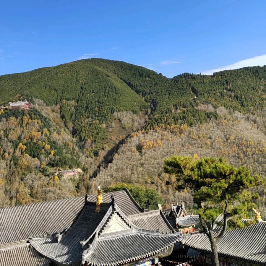 大山的风景