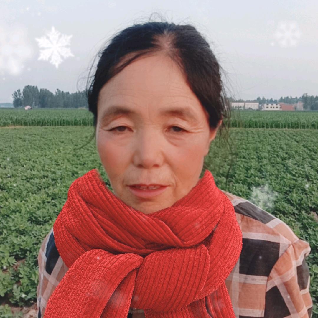 岁月静好