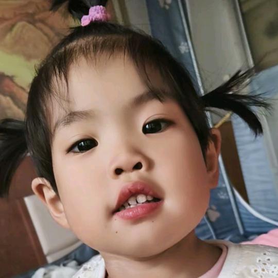 红玫瑰