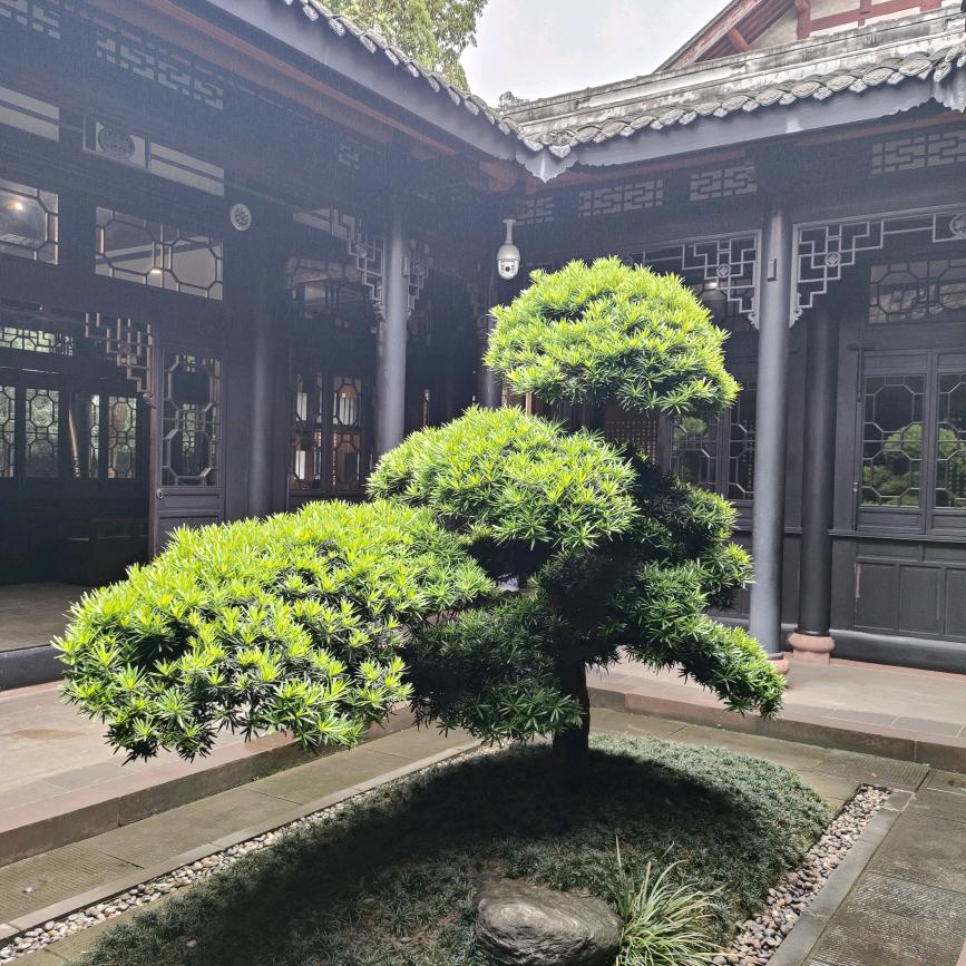 郄小哥
