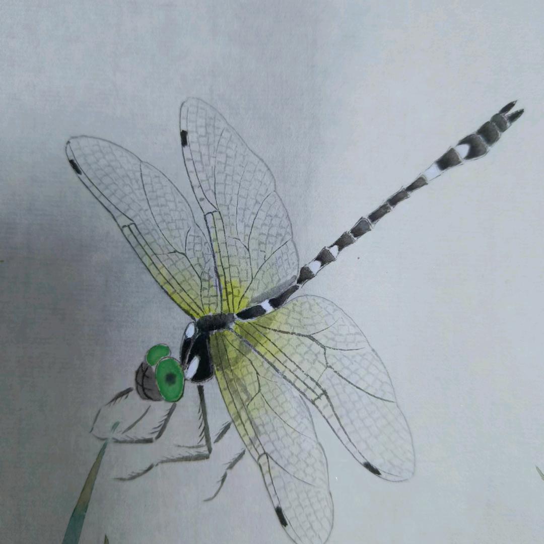 洗桐山房