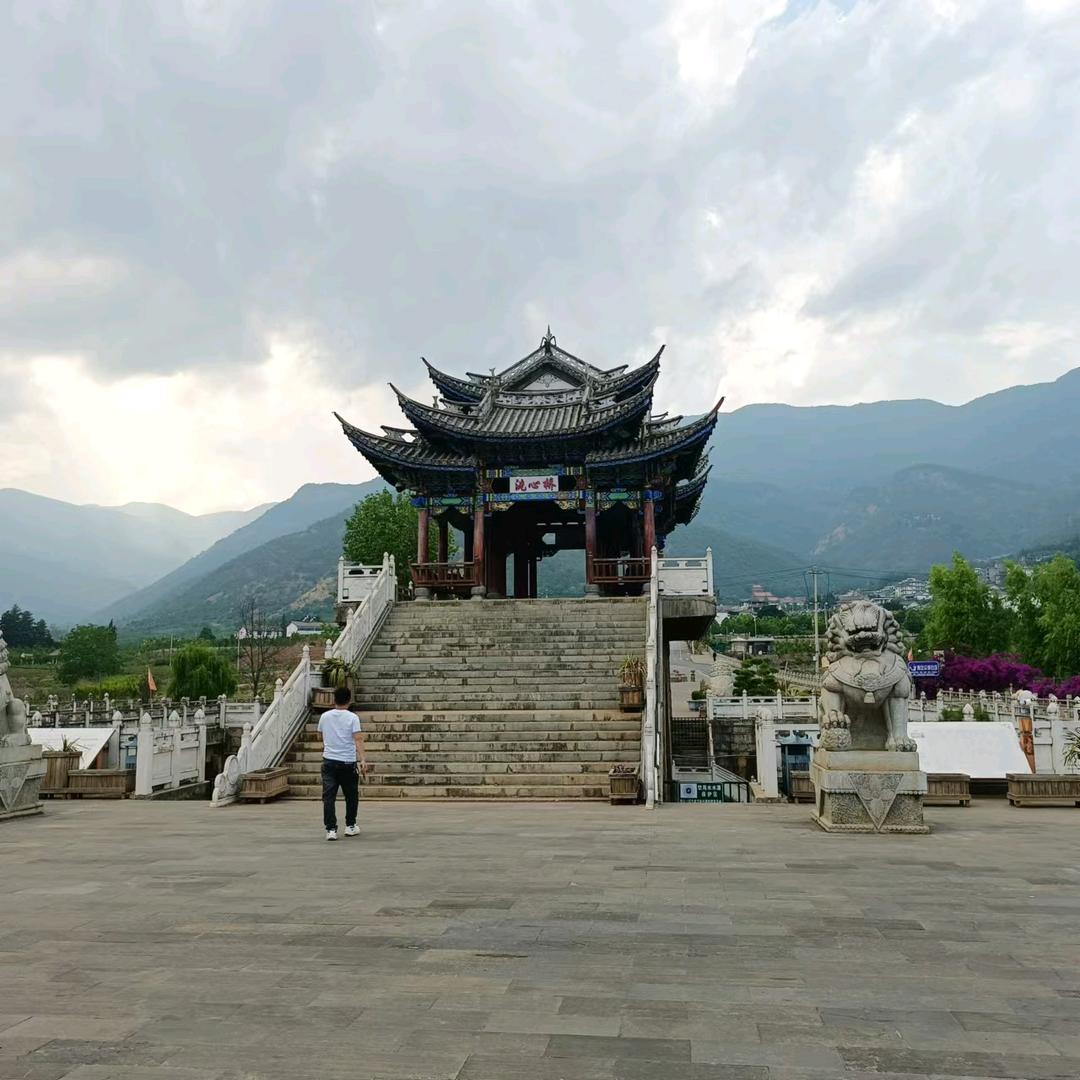 林梅度，相思菊!