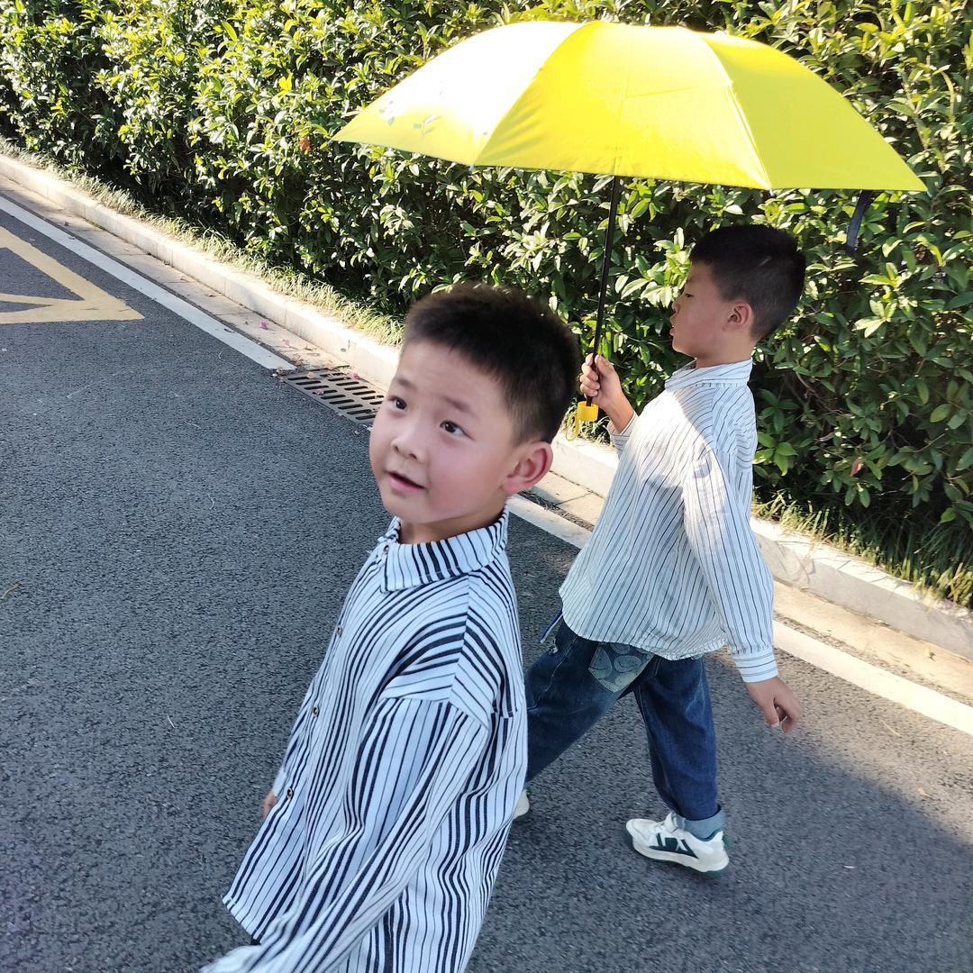 二妹不懂生活🍉