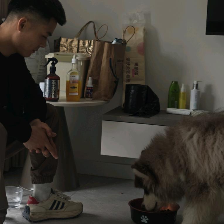 浪漫的濮阳人