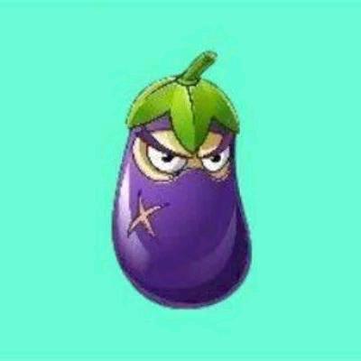 没有拳茧不改名